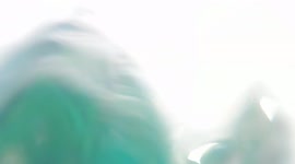 Dolphins with divers