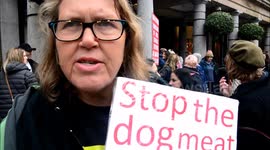 Protest March Against Chinese Yulin