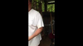 Cutting and harvesting bananas in our Kauai yard