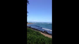 Beautiful Ocean Beach in Haena Kauai Hawaii