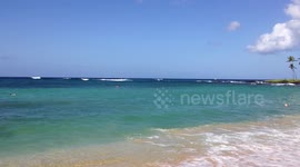 Poipu Beach Fun in the Ocean on Kauai