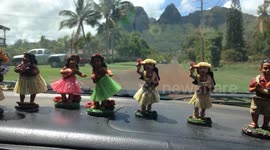 Dashboard Hula Girl Dancers in Kauai