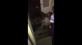 house submerged in floodwaters