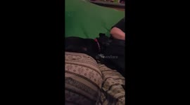 Dog Snores like grown Man