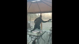 Catching the bird