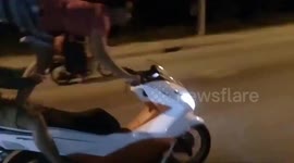 Newsflare Edit - Man surfs on moped while performing wheelie in heart-stopping stunt