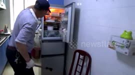 扬州 菜花蛇跑进冰箱 应是搭了“顺风车”