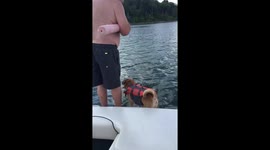 Dog does a sploosh