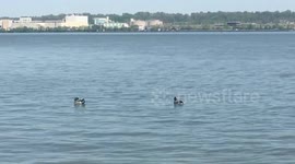 High temperatures finally reached the East Coast