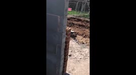 Worker Learns Not To Fall Asleep on the Job