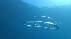 See the amazing thing that happens when 2 bubble rings collide