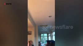 Girl needed emergency rabies injection after bit by a BAT