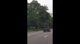 Monkey surfing on the back of a pickup