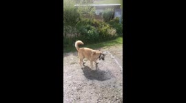 Eddie taking on the water monster