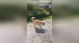 Newsflare Edit - Eddie taking on the water monster