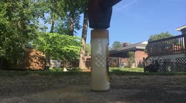 Cinco De MAYO, Amigo!