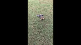 Big squirrel eating a cracker