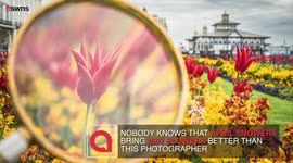 Photographer uses magnifying glass to capture flowers in their finest form