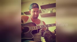 Cute cat cuddles up to owner when he plays guitar