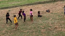 Twerking party-goers in rural Thailand chased away by herd of COWS