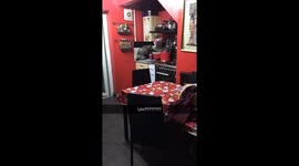 Dog being caught stealing food