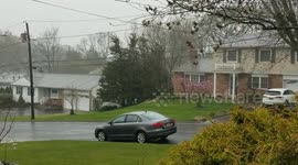 Heavy Rain/Spring Storms