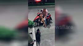 绍兴:黑狗咬着金毛狗绳不让它回家