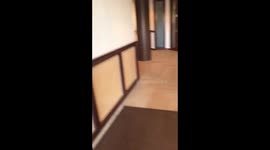 Surprise Puppy!