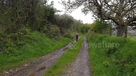 Child Riding Mountain Bike Off Road