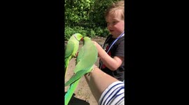 Tropical weather in London and tropical birds