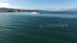 Water Skiing on Wellington Harbour. World Champ Water Skiers and Race Power Boats on Sparkling Wellington Harbour with Panoramic Views of City and Suburbs. #02