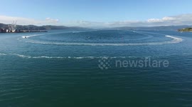 Water Skiing on Wellington Harbour. World Champ Water Skiers and Race Power Boats on Sparkling Wellington Harbour with Panoramic Views of City and Suburbs. #03