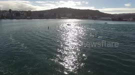 Water Skiing on Wellington Harbour. World Champ Water Skiers and Race Power Boats on Sparkling Wellington Harbour with Panoramic Views of City and Suburbs. #06
