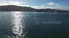 Water Skiing on Wellington Harbour. World Champ Water Skiers and Race Power Boats on Sparkling Wellington Harbour with Panoramic Views of City and Suburbs. #07