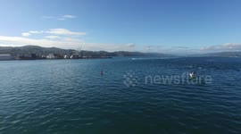Water Skiing on Wellington Harbour. World Champ Water Skiers and Race Power Boats on Sparkling Wellington Harbour with Panoramic Views of City and Suburbs. #10