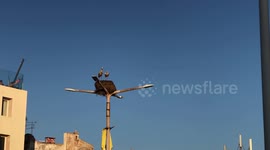 Stork and big nest