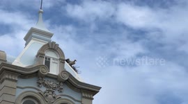 Stork nest on the building