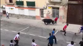 Man seriously injured in bull running festival in Spain