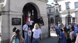 Tourist meet the horse guards at st James Palace London by jim connor