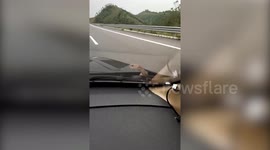 湖南郴州:轿车高速上行驶  引擎盖上爬出一条蛇