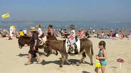 Donkey Rides on Weymouth Beach