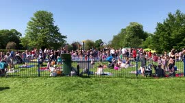 Thousands enjoy the Verulamium Park paddling pool and grass area