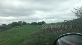 Ireland driving a car