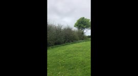 On the Irish meadow