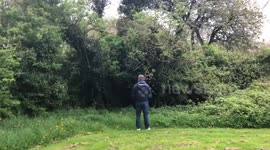 On the Irish meadow
