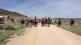 Great American Horse Drive 2018