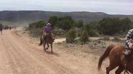 Great American Horse Drive 2018