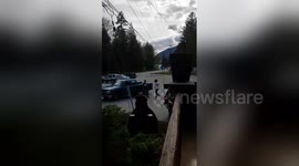 Newsflare Edit - Drunk Asshole pickup driver picks fight with Biker