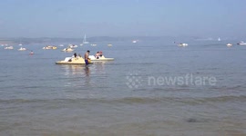 Kid Surfs on Beach Front