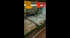 jamaican vs american fight at the mall